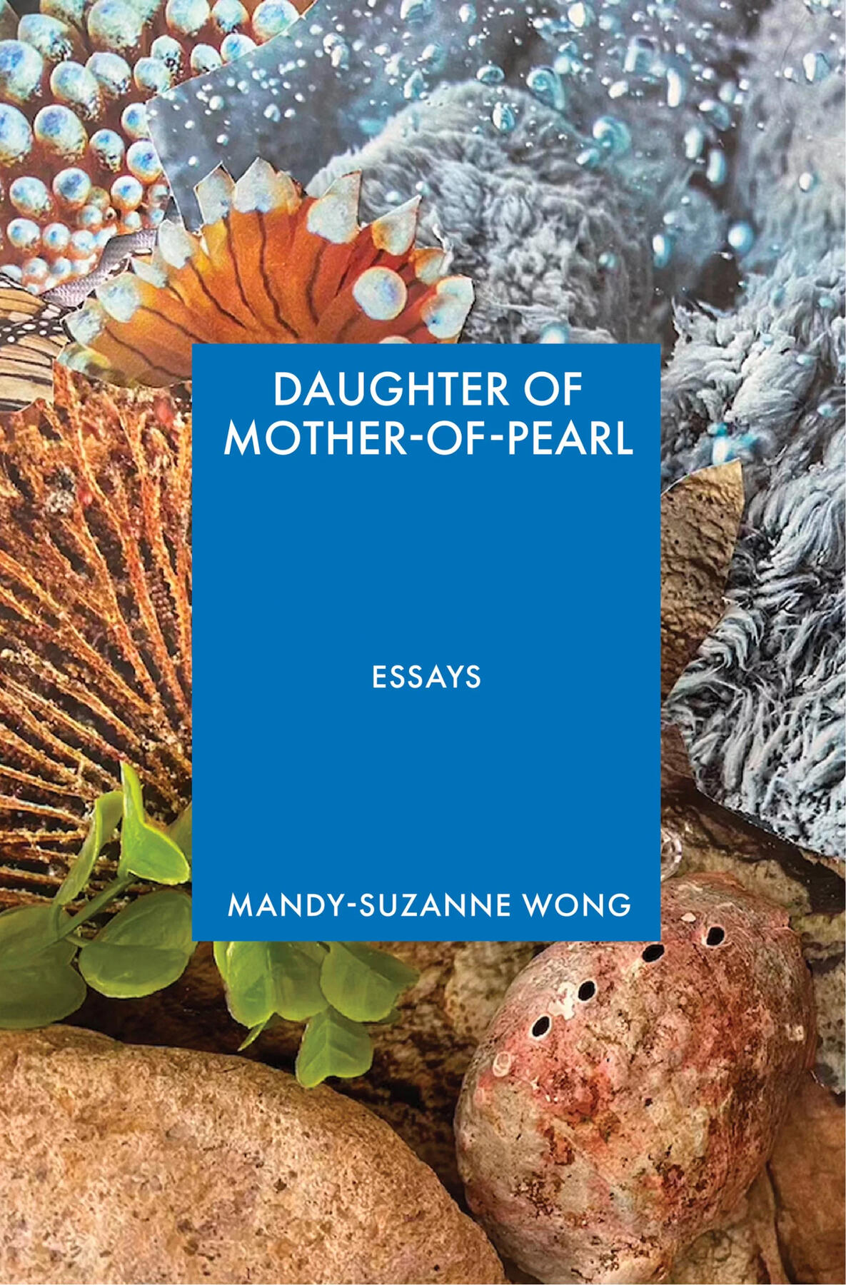 Daughter of Mother-of-Pearl by Mandy-Suzanne Wong