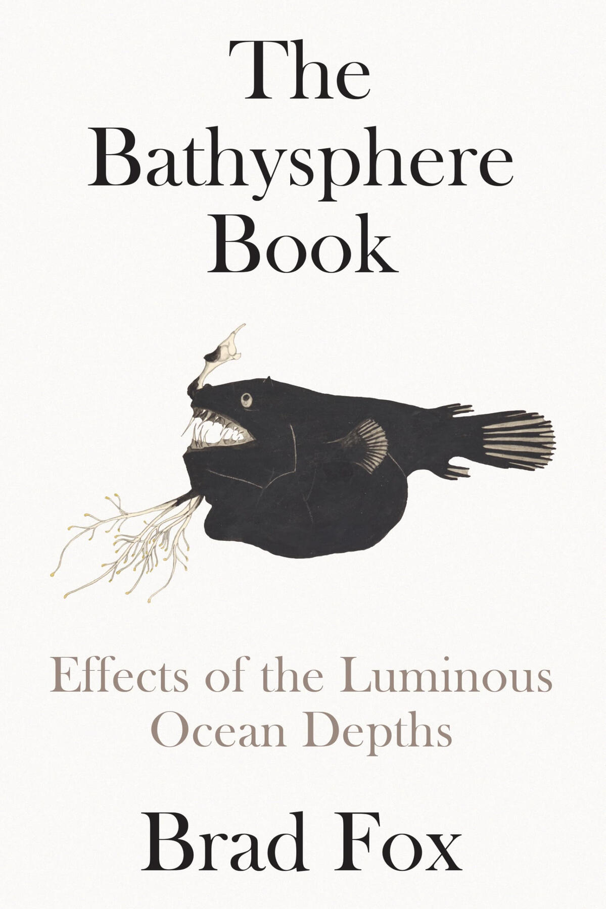 The Bathysphere Book by Brad Fox